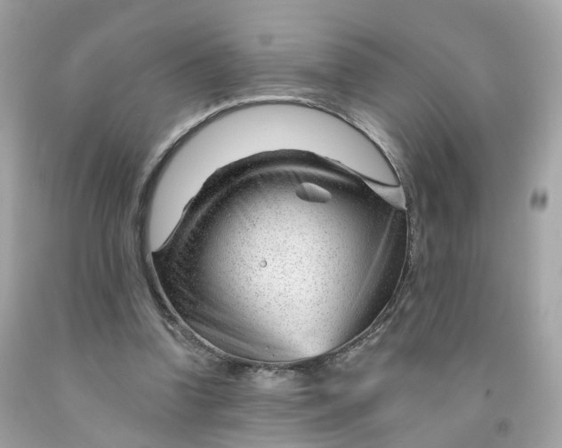 X0000091470346200709061823