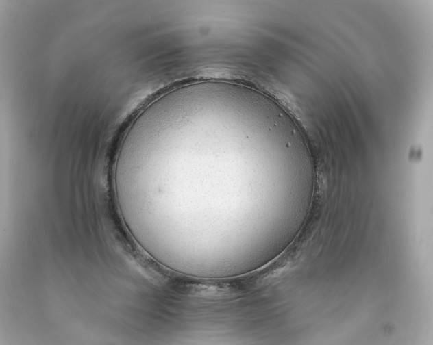 X0000091470347200709061823