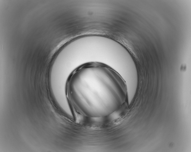 X0000091470348200709061823