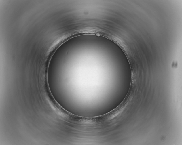 X0000091470349200709061823