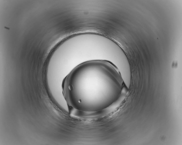 X0000091470350200709061823