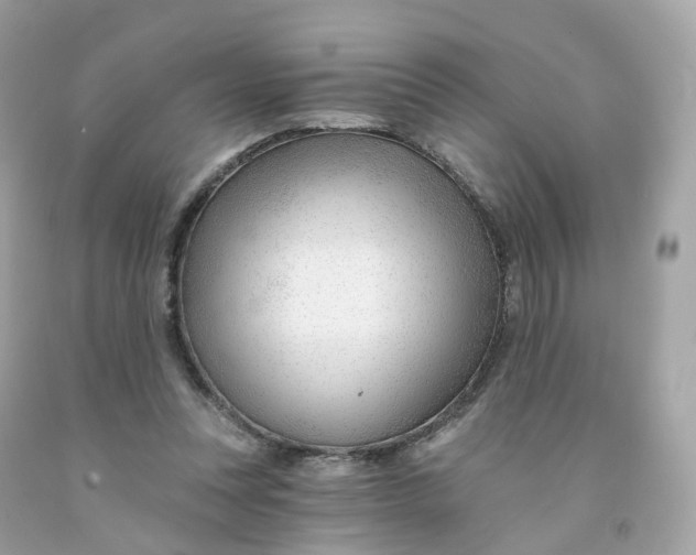 X0000091470351200709061823