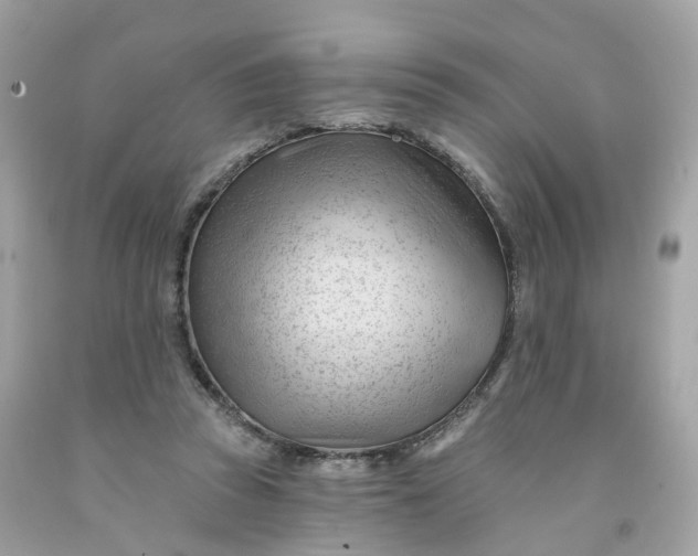 X0000091470353200709061823