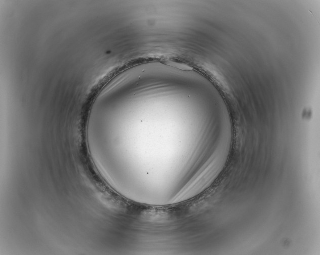 X0000091470354200709061823