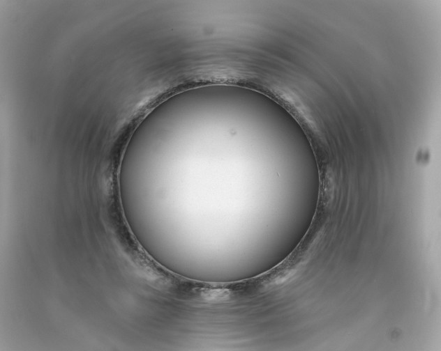 X0000091470355200709061823