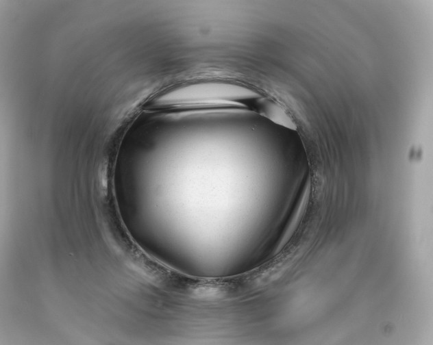 X0000091470358200709061823