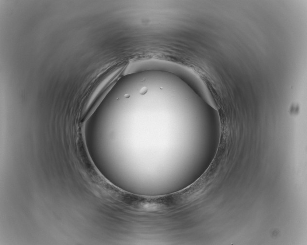 X0000091470360200709061823