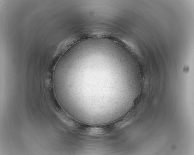 X0000091470361200709061823