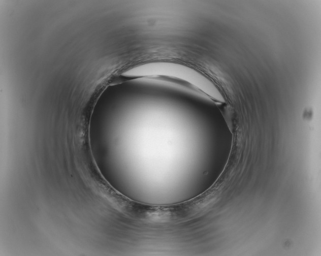 X0000091470362200709061823