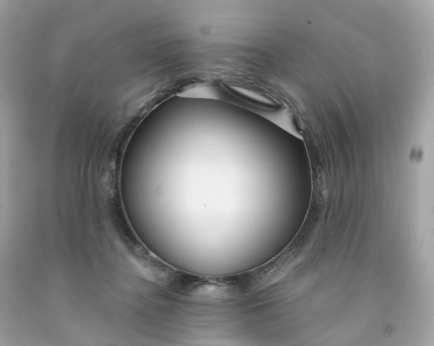 X0000091470364200709061823