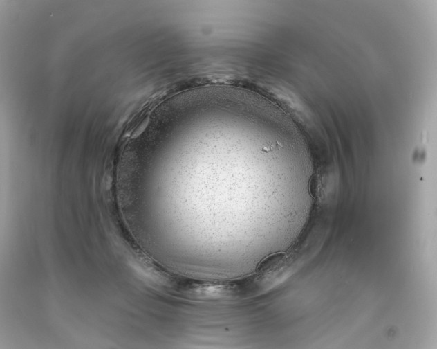 X0000091470365200709061823