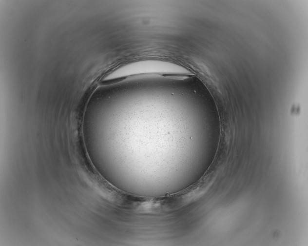 X0000091470366200709061823