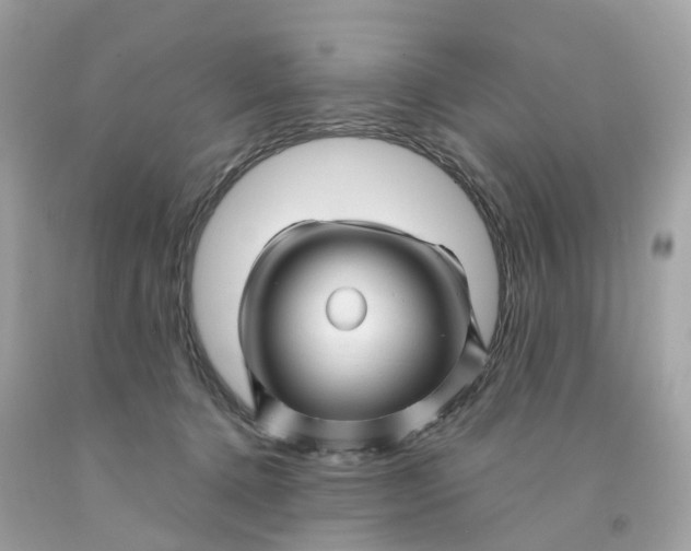 X0000091470368200709061823