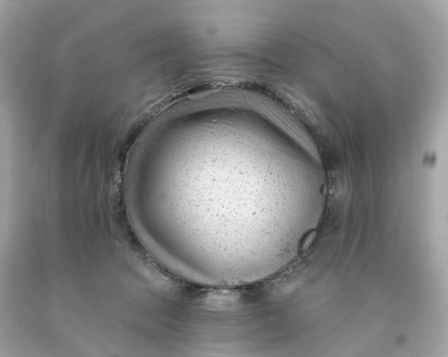 X0000091470369200709061823