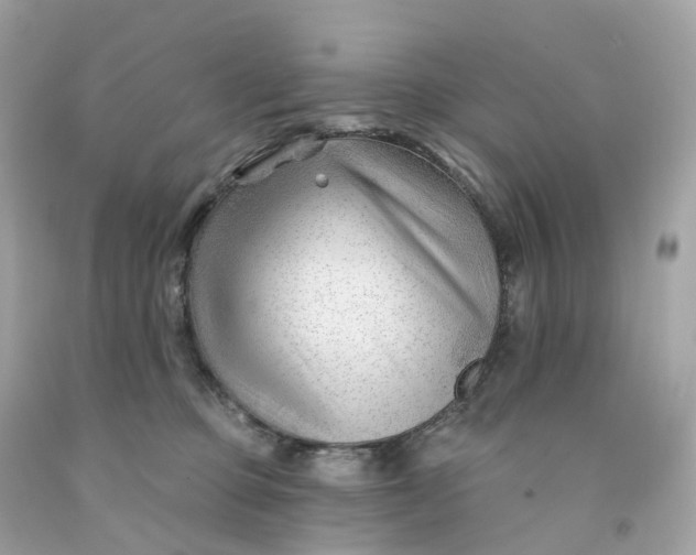 X0000091470373200709061823