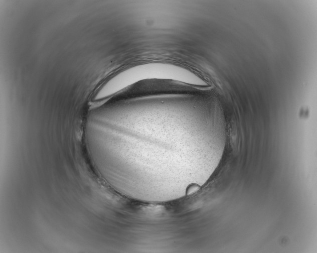 X0000091470374200709061823