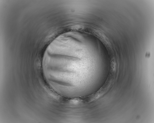 X0000091470375200709061823