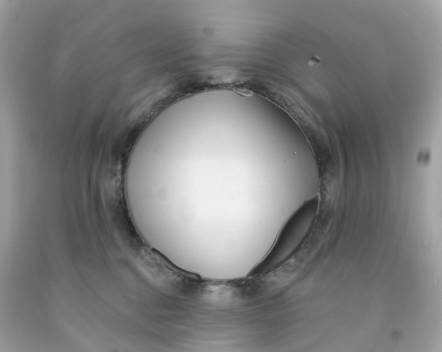 X0000091470376200709061823