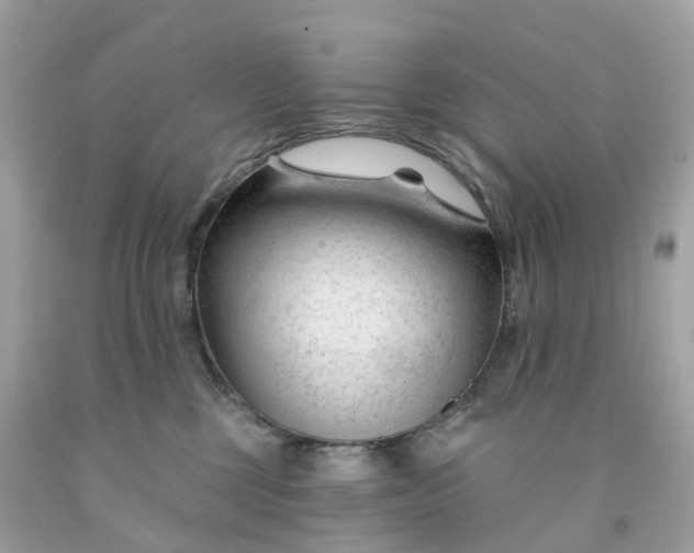 X0000091470377200709061823