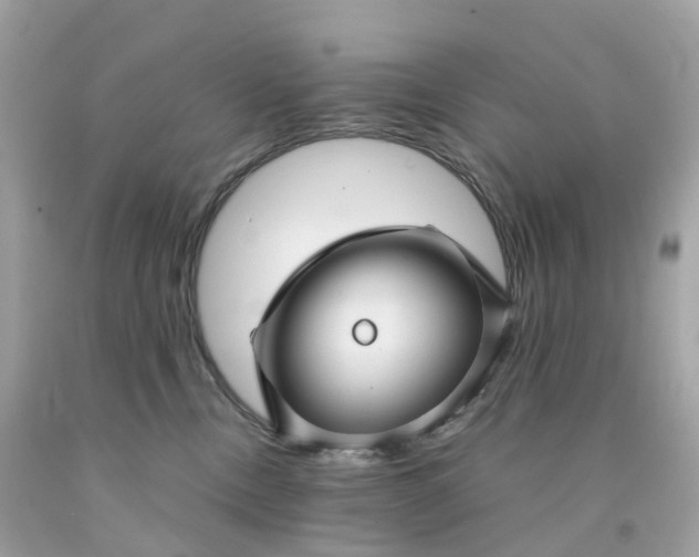 X0000091470378200709061823