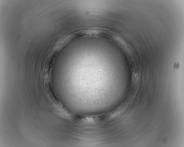 X0000091470381200709061823