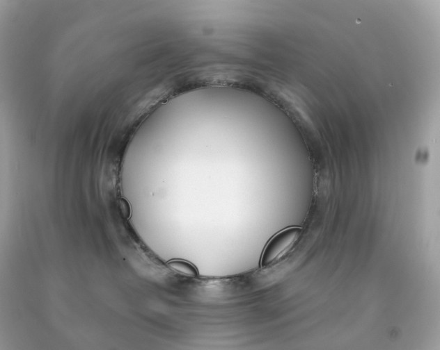 X0000091470382200709061823