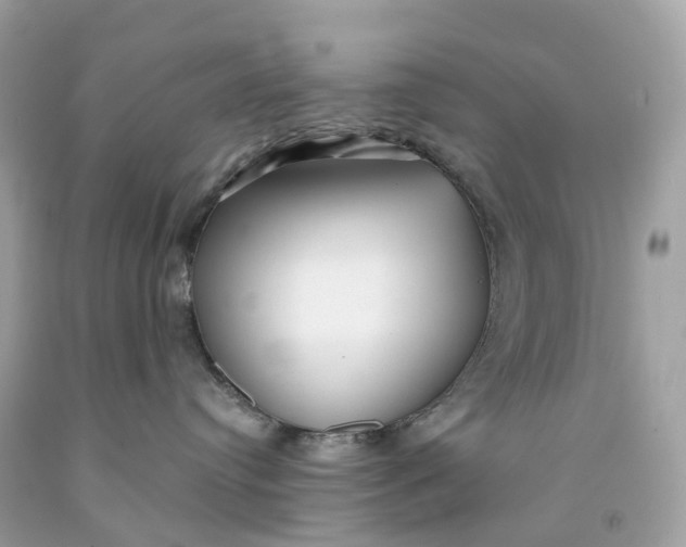 X0000091470384200709061823