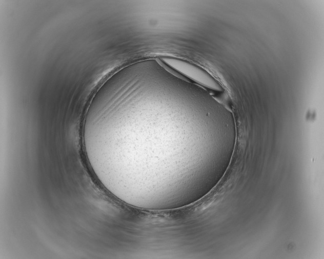 X0000091470386200709061823