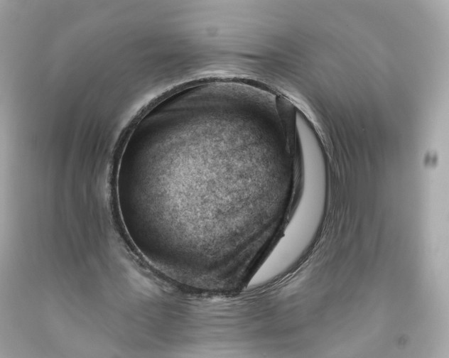 X0000091470387200709061823