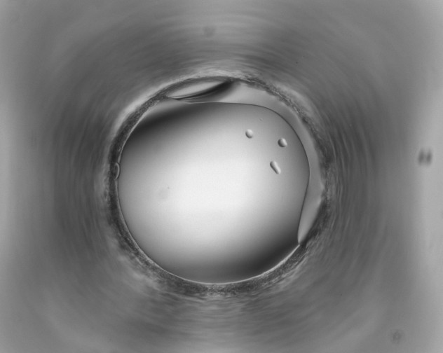 X0000091470388200709061823