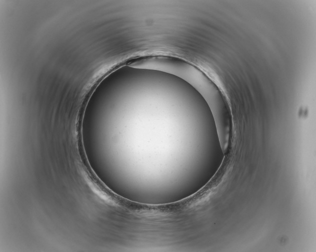 X0000091470389200709061823