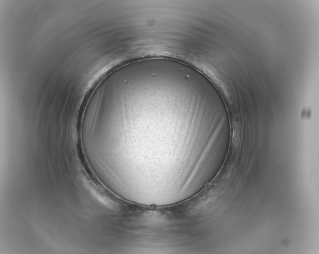 X0000091470390200709061823