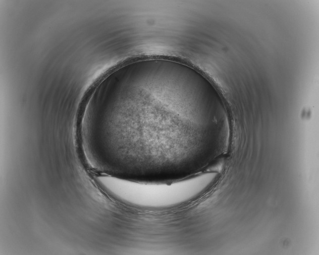 X0000091470391200709061823