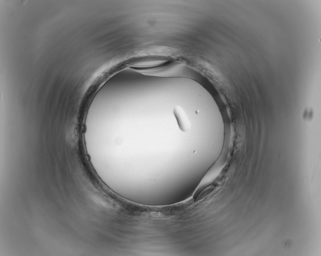 X0000091470392200709061823