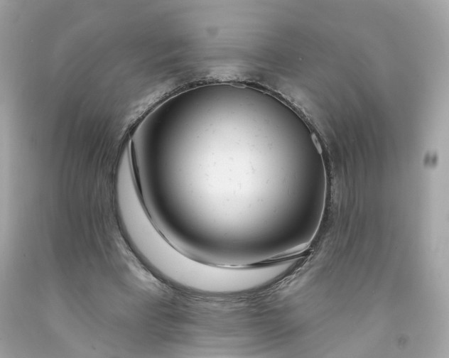 X0000091470393200709061823