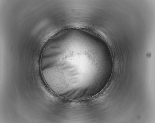 X0000091470394200709061823