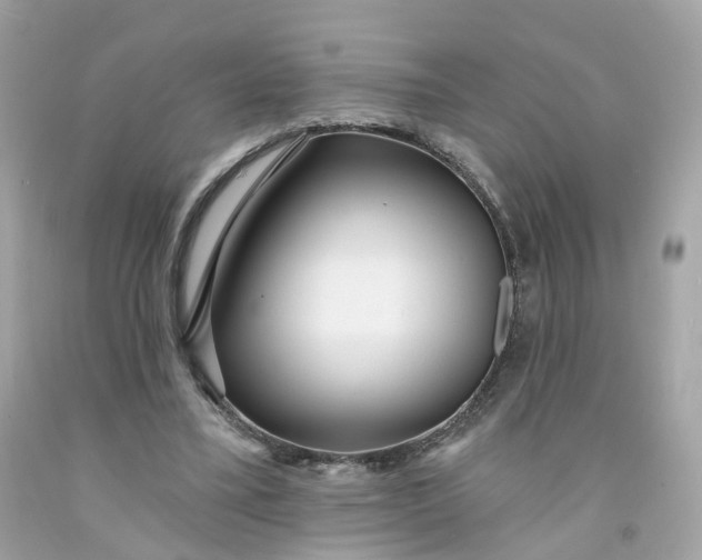 X0000091470395200709061823