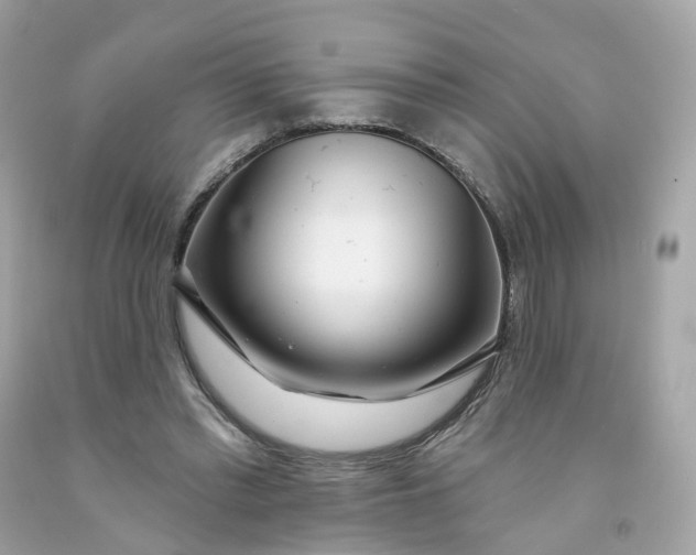 X0000091470397200709061823