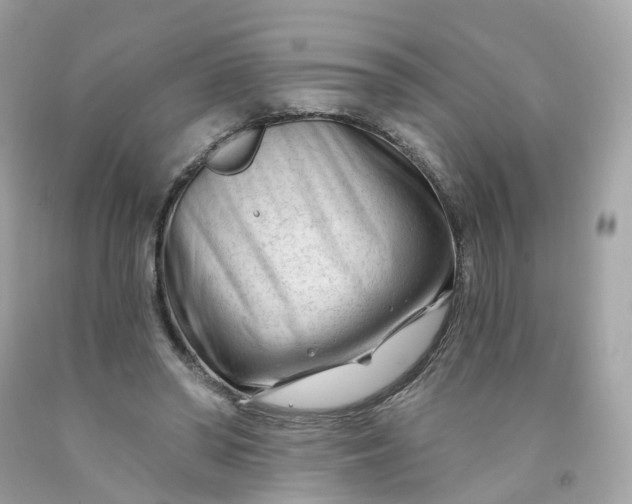 X0000091470398200709061823