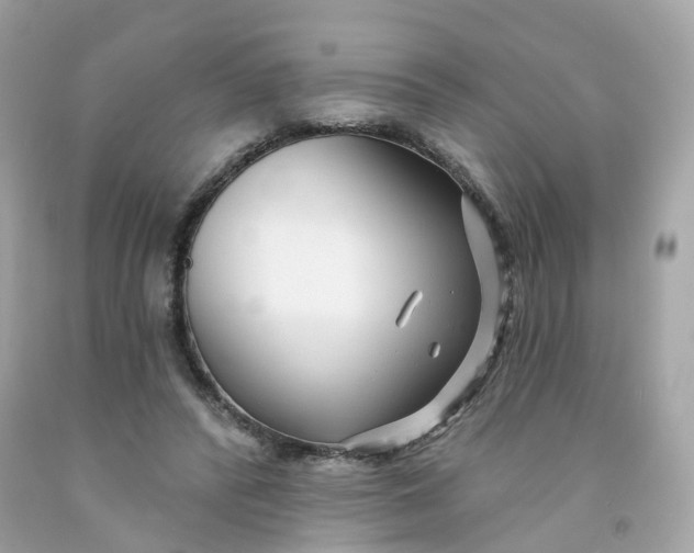 X0000091470400200709061822