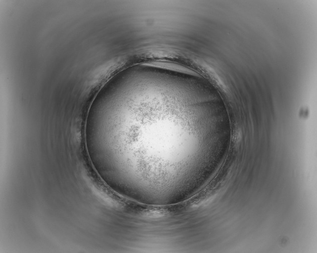 X0000091470402200709061822