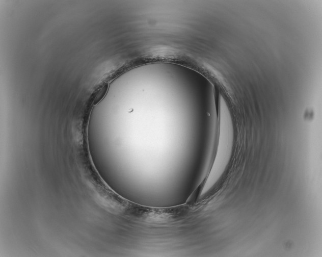 X0000091470403200709061822