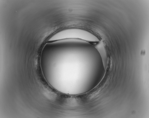 X0000091470404200709061822