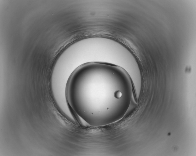 X0000091470405200709061822