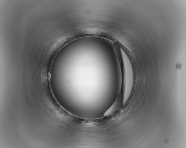 X0000091470407200709061822