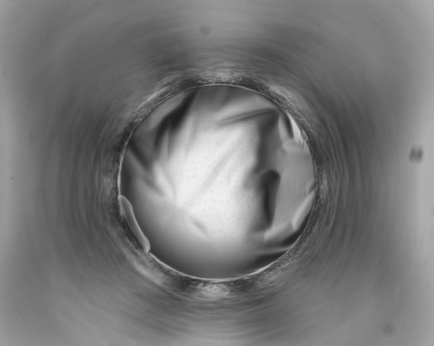 X0000091470409200709061822