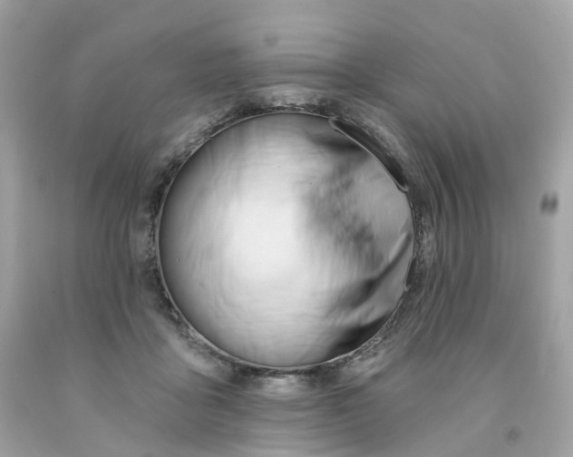 X0000091470411200709061822