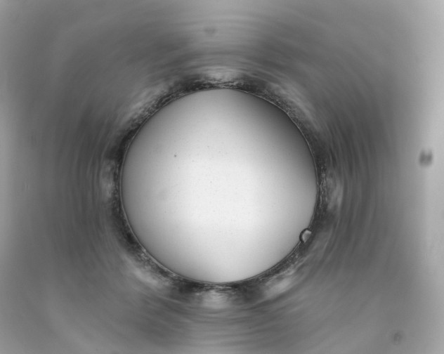 X0000091470412200709061822