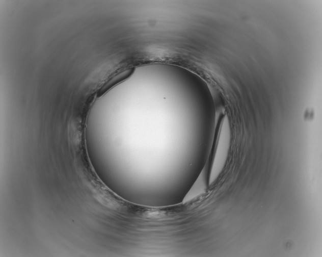 X0000091470413200709061822