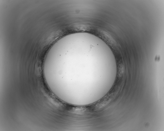 X0000091470414200709061822